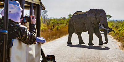 buy a luxury african safari